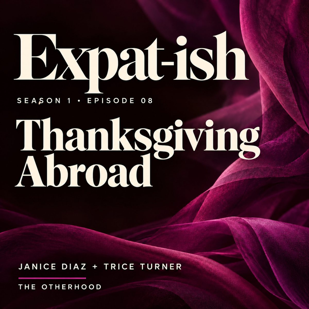Expat-ish Season 1 Episode 08 cover: Thanksgiving Abroad